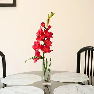 Apartamento Aligrama, Córdoba